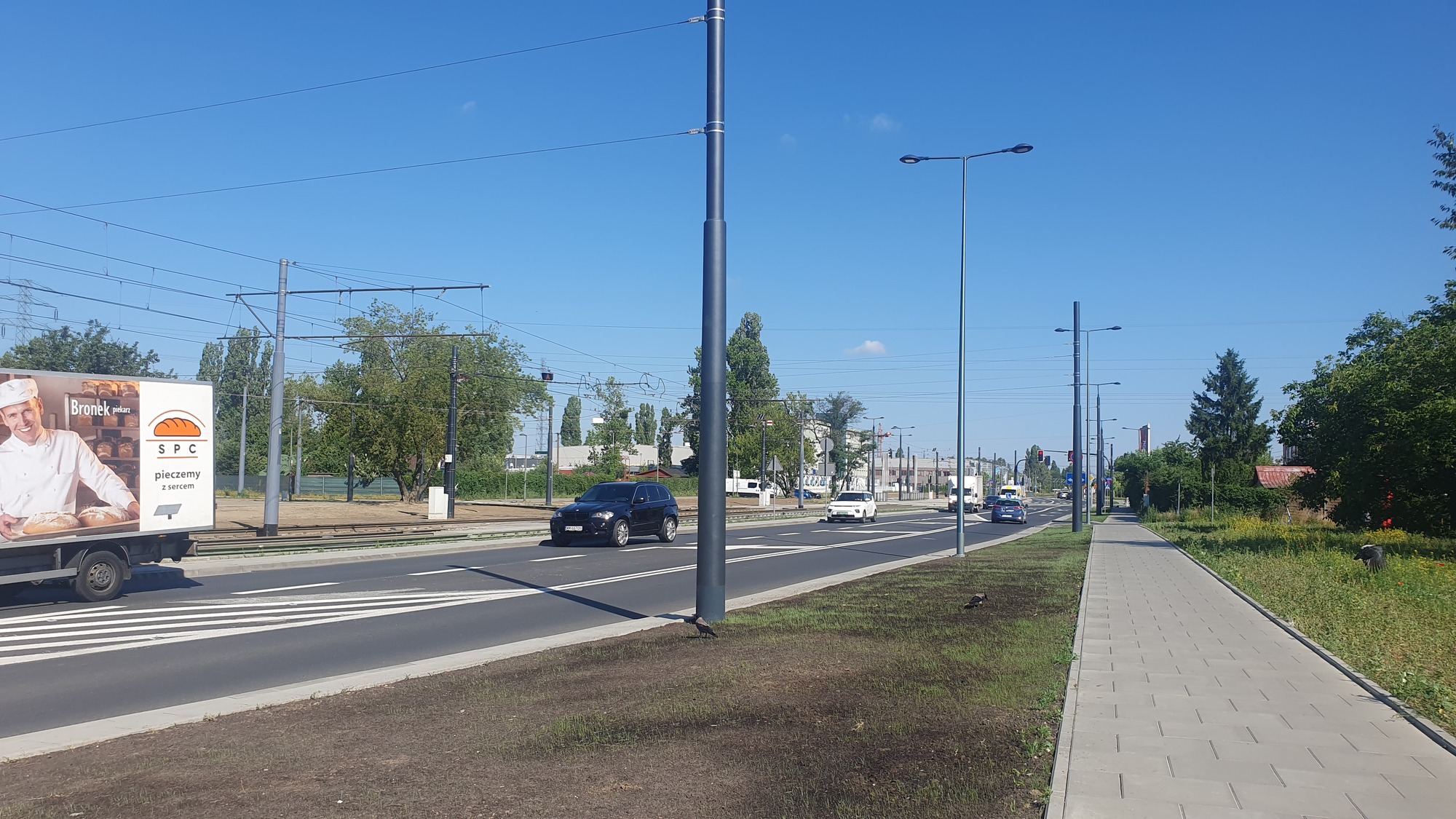 240626_zrid_zielen.jpg